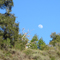 the moon in Soquel